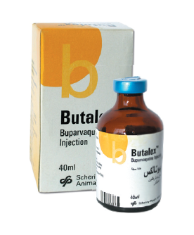 BUTALEX | Fivet Animal Health